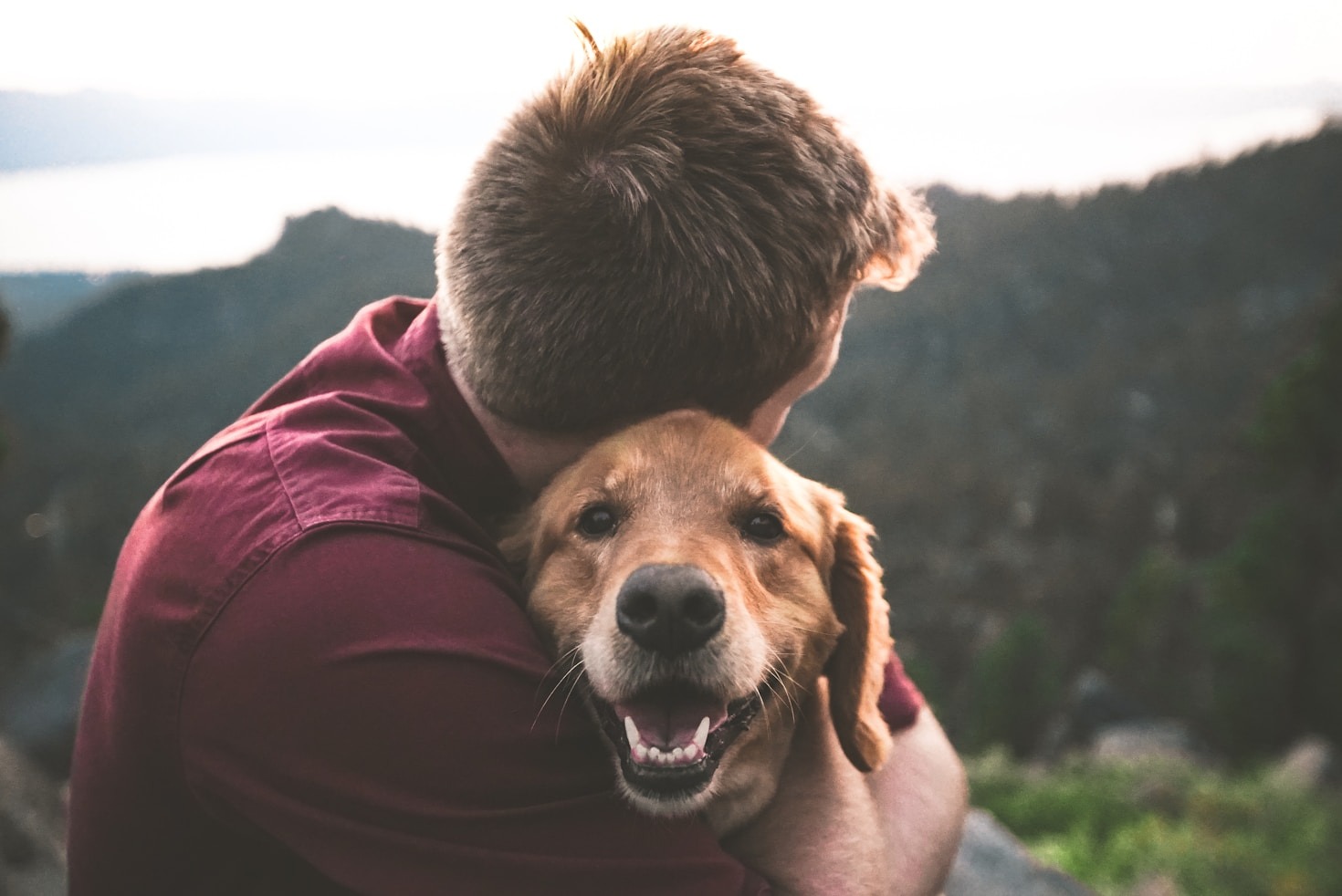 Produtos naturais para pets: saúde e carinho em cada escolha